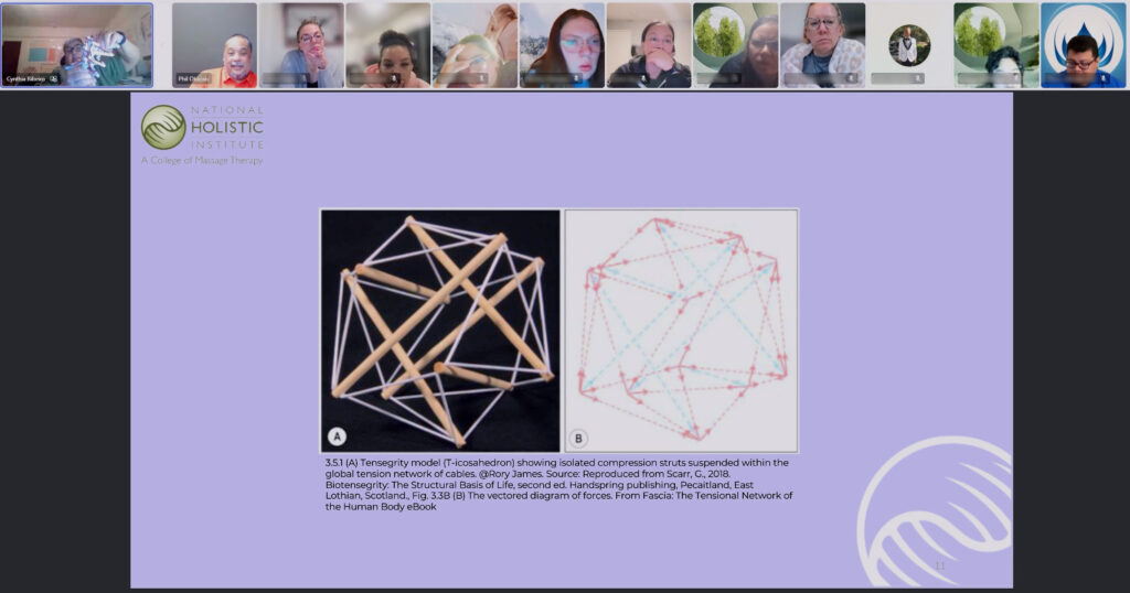 The Biological Aspect of a Biopsychosocial Pain Management Assessment