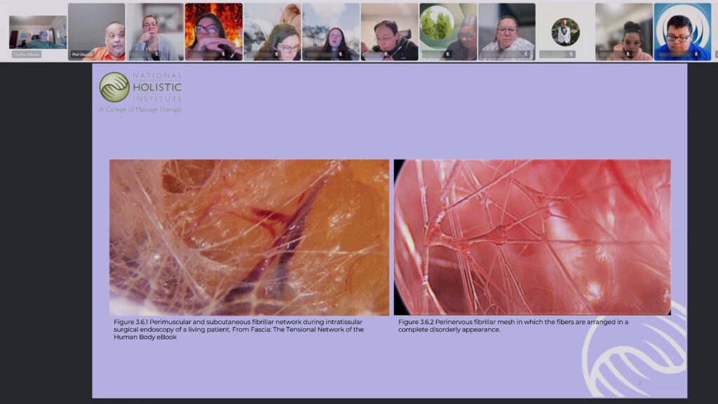 The Biological Aspect of a Biopsychosocial Pain Management Assessment
