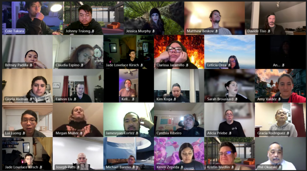 Screenshot of a Zoom Webinar